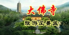 双插性爱中国浙江-新昌大佛寺旅游风景区